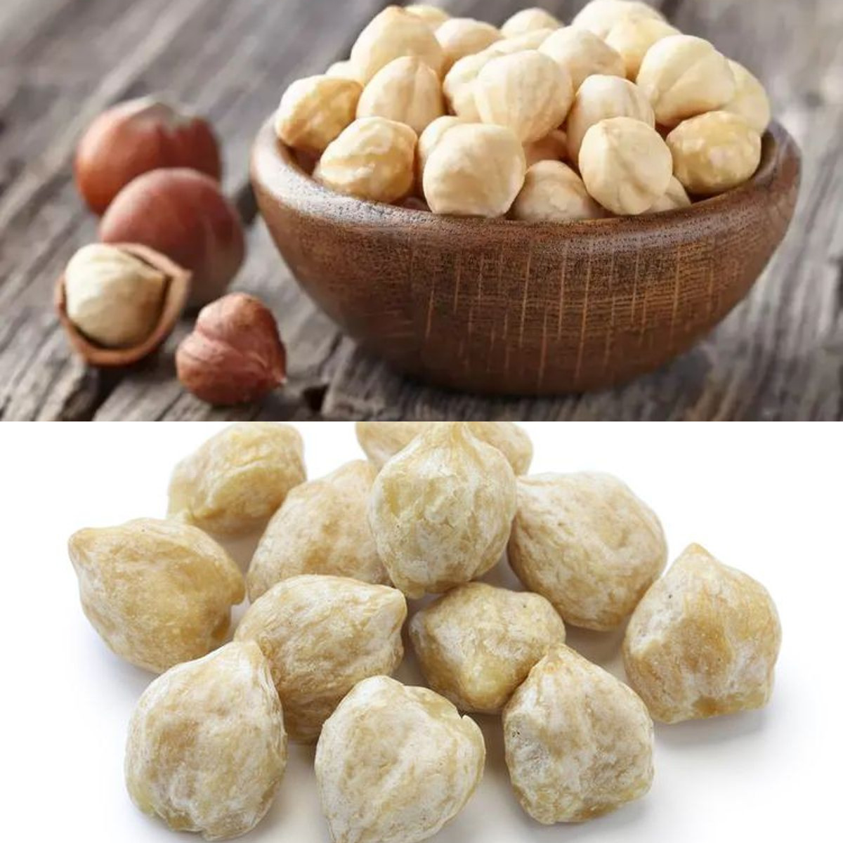 Kemiri, Tahu Kandungan dan Manfaatnya untuk Kesehatan! 