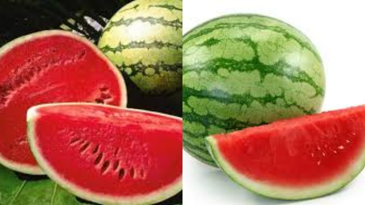 Kaya Nutrisi, Inilah 8 Khasiat Buah Semangka untuk Kesehatan Tubuh