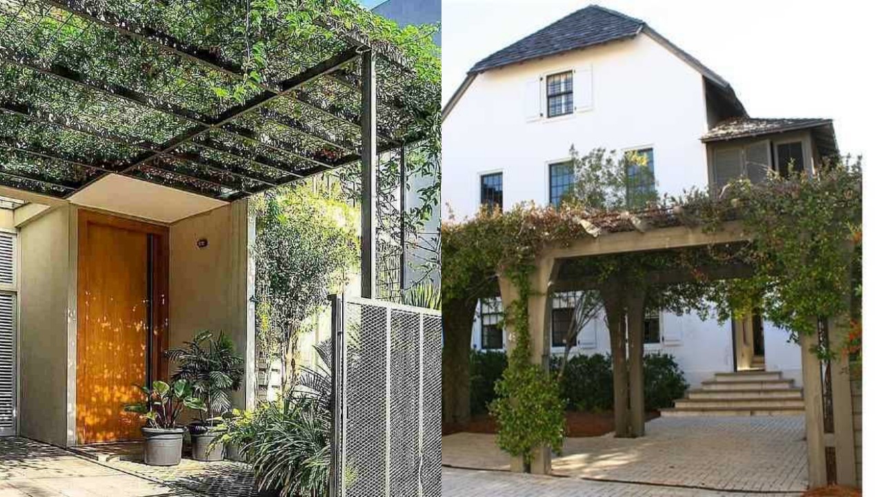 Ide Kebun Rambat Minimalis sebagai Kanopi, Sejuk Tanpa AC Berlebih!
