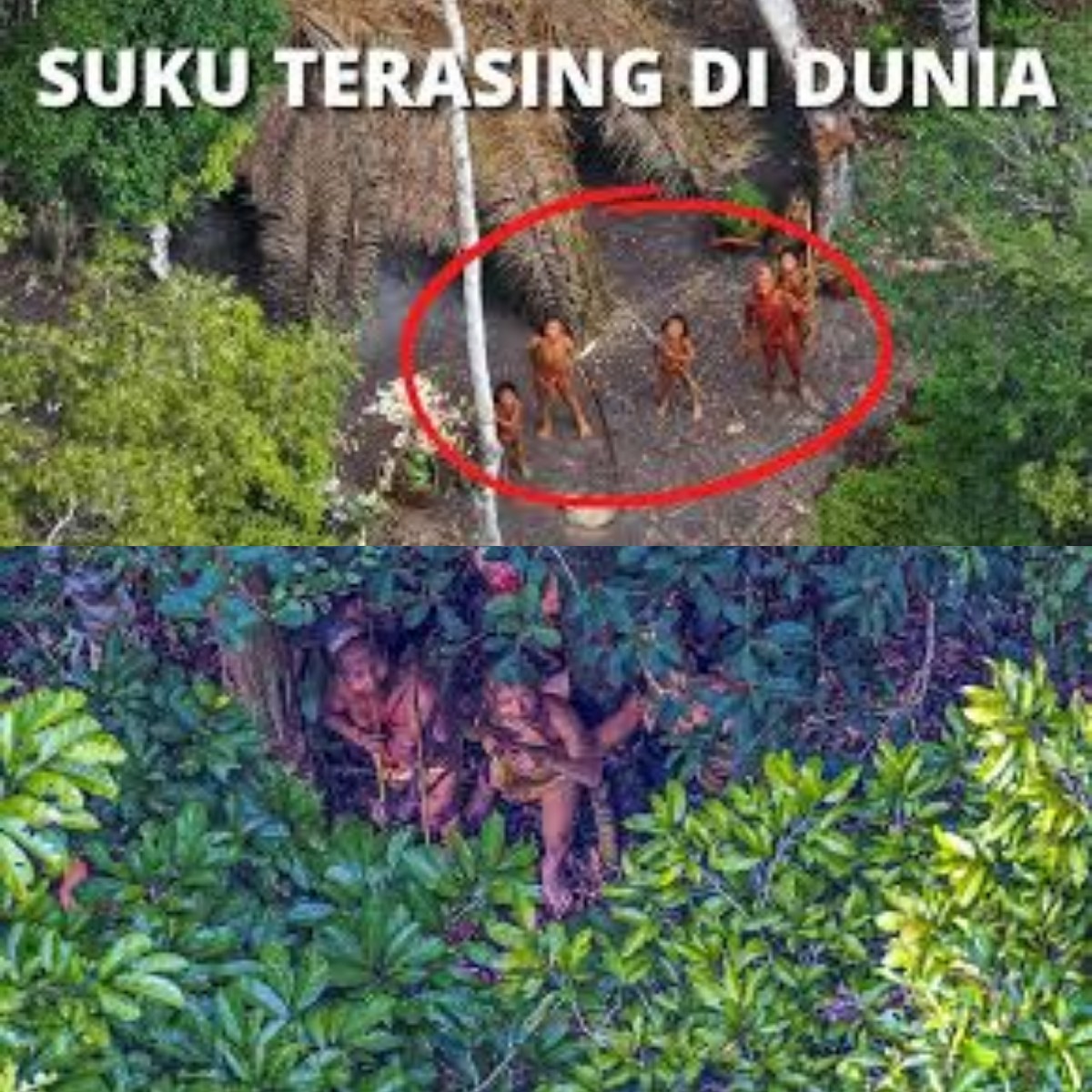 Apa yang Membuat Suku-Suku Ini Menolak Kontak dengan Dunia Luar? Temukan 8 Kisah Unik Mereka!