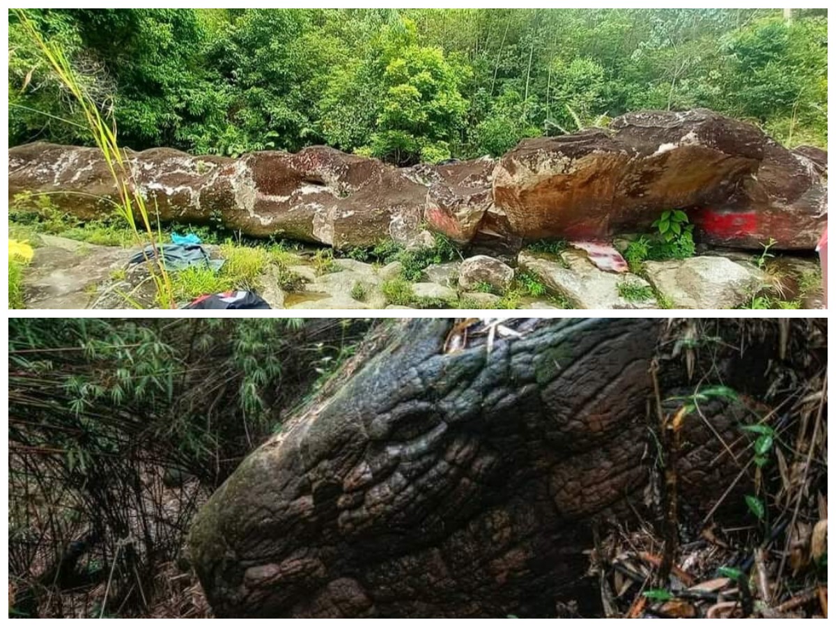 Batu Ular Raksasa yang Heboh di Medsos, Ternyata Lokasinya di Luar Negeri! Ini Penjelasannya