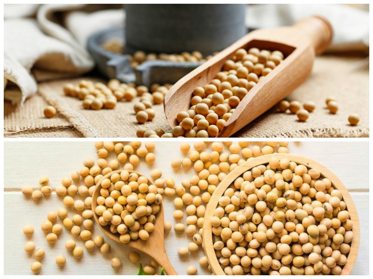 Tak Hanya Kaya Protein, Ini Manfaat Kacang Kedelai untuk Menjaga Kesehatan Jantung dan Pencernaan!