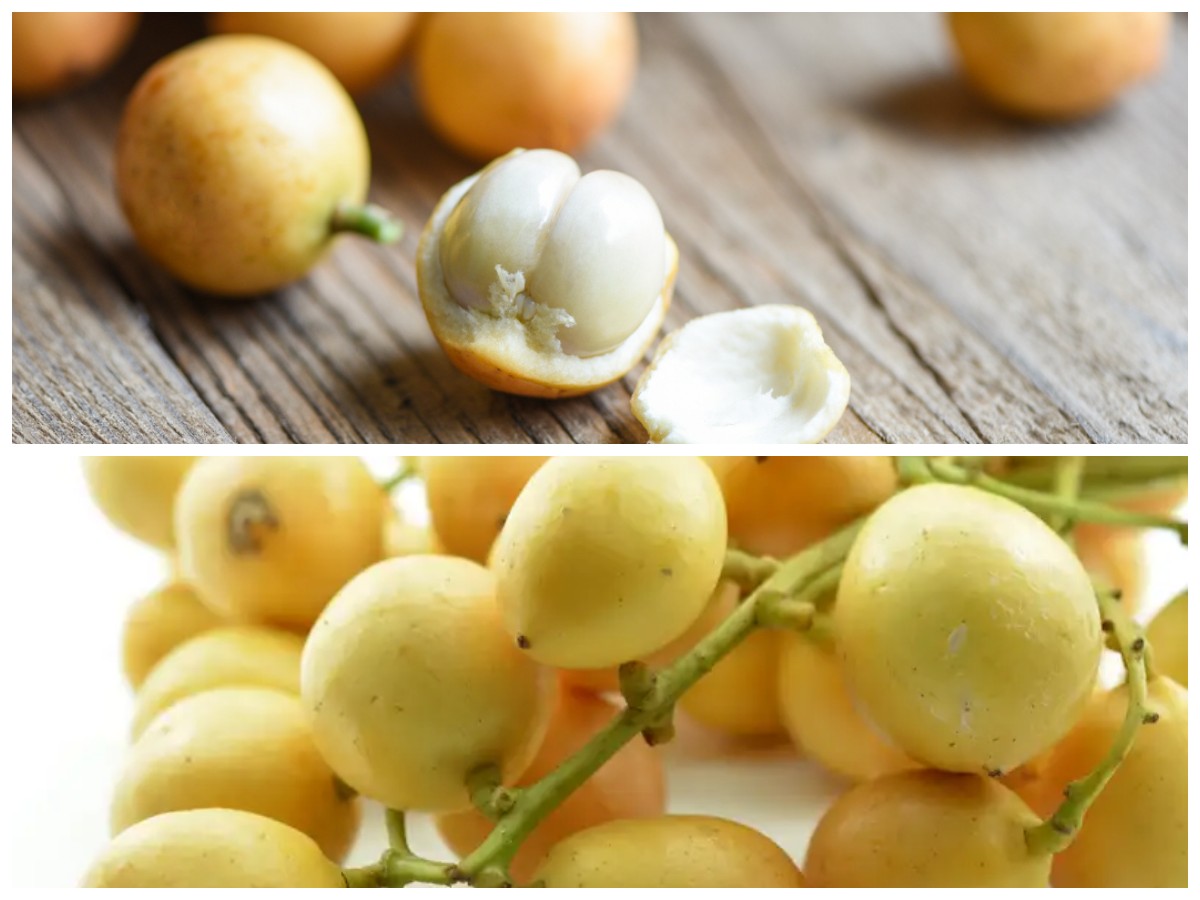Tak Banyak yang Tahu! Rahasia Manfaat Buah Rambai untuk Menjaga Kesehatan
