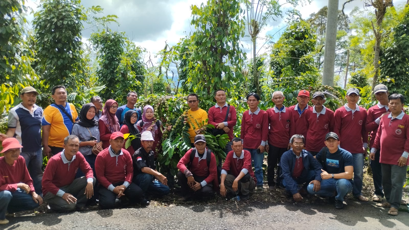 Inovasi Pertanian, Tanaman 'Kawe Putih' Menjadi Sorotan di Desa Talang Camay, Kota Pagaralam