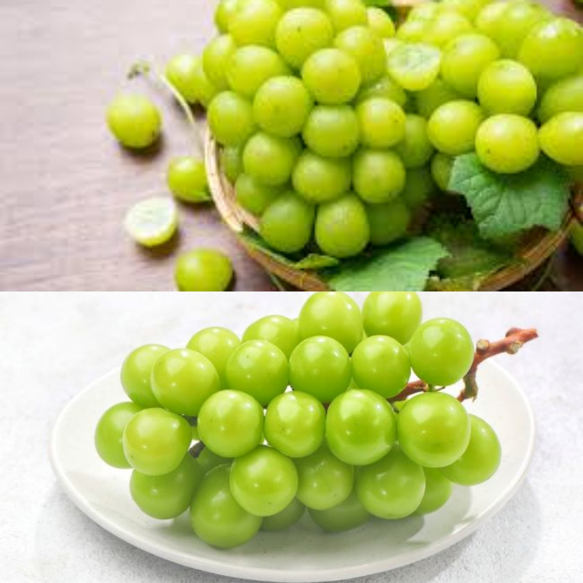 Ketahui Manfaat Anggur Hijau untuk Kesehatan Tubuh!