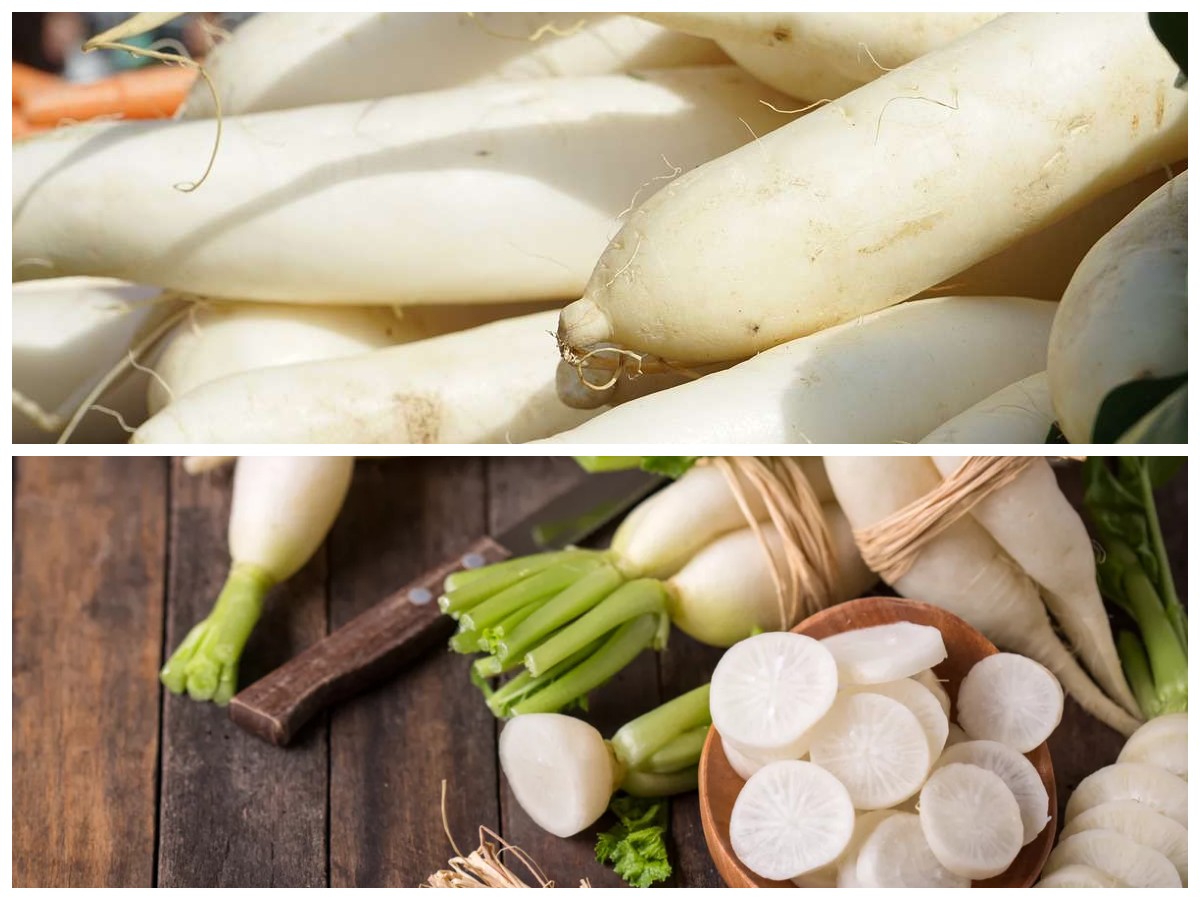 Manfaat Lobak untuk Asam Urat: Cara Konsumsi yang Tepat agar Hasilnya Maksimal