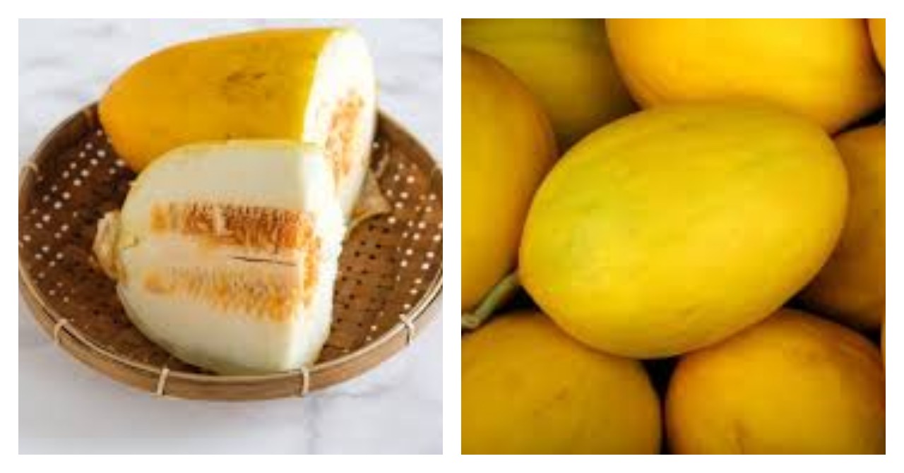 6 Keuntungan Buah Blewah, dari Menghindari Dehidrasi hingga Menjaga Kesehatan Kulit