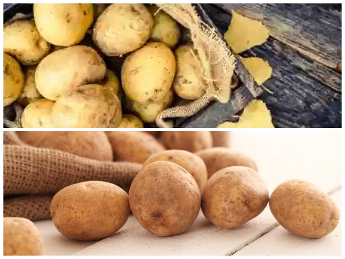 10 Khasiat Kentang untuk Tubuh yang Perlu Anda Tahu