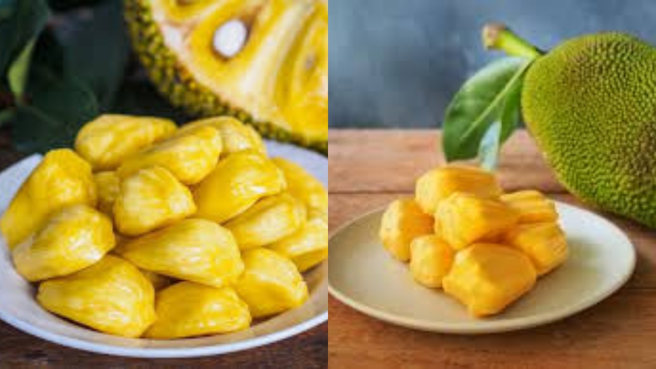 Yuk Ketahui Khasiat Buah Nangka Untuk Ibu Hamil Yang Jarang Diketahui!