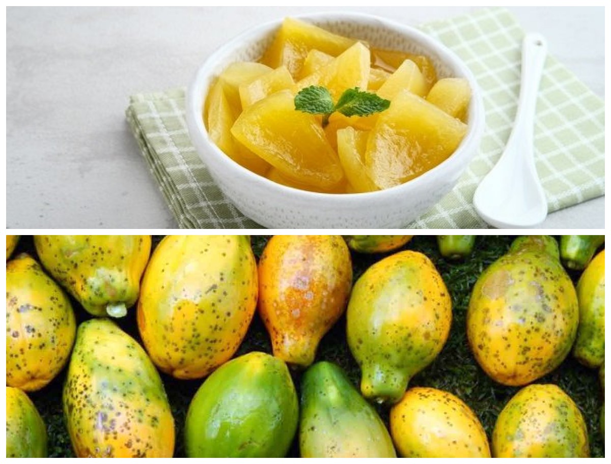 Mengungkap 7 Manfaat Buah Carica yang Baik untuk Kesehatan Tubuh!