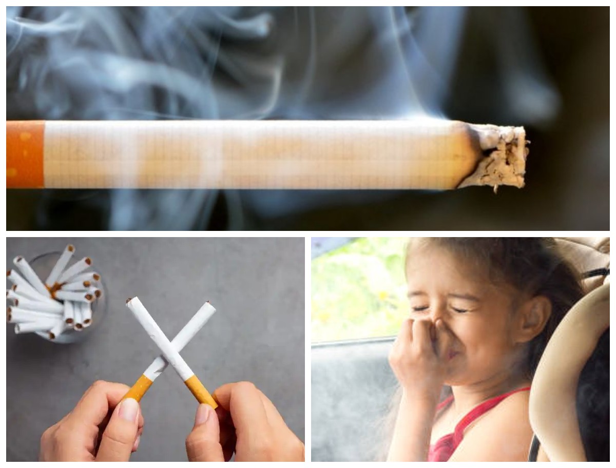 Kenali Bahaya Asap Rokok bagi Anak: Ancaman Tersembunyi yang Mengintai Tumbuh Kembang Si Kecil!