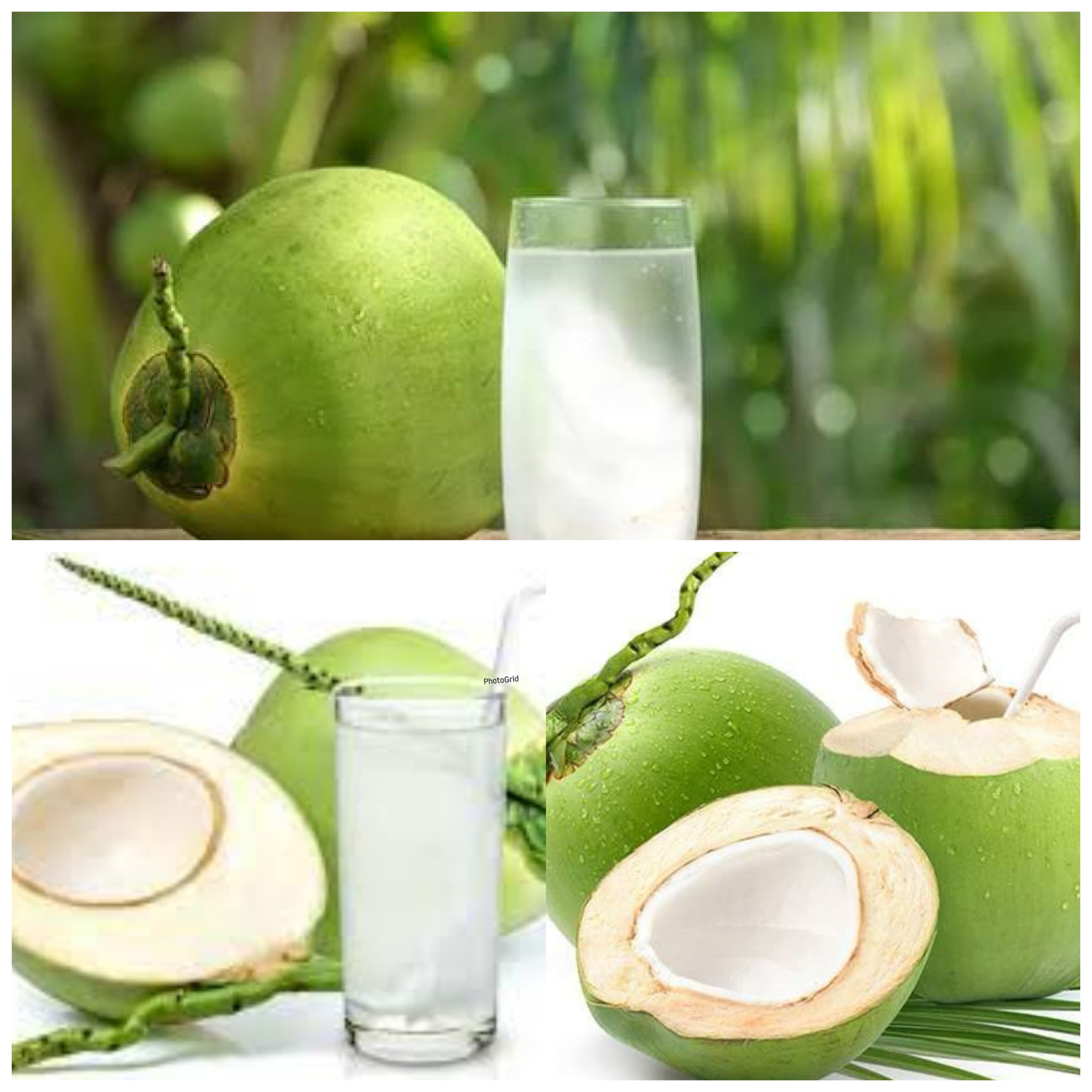 Rahasia Alami Air Kelapa untuk Menjaga Tubuh Tetap Sehat dan Bugar!