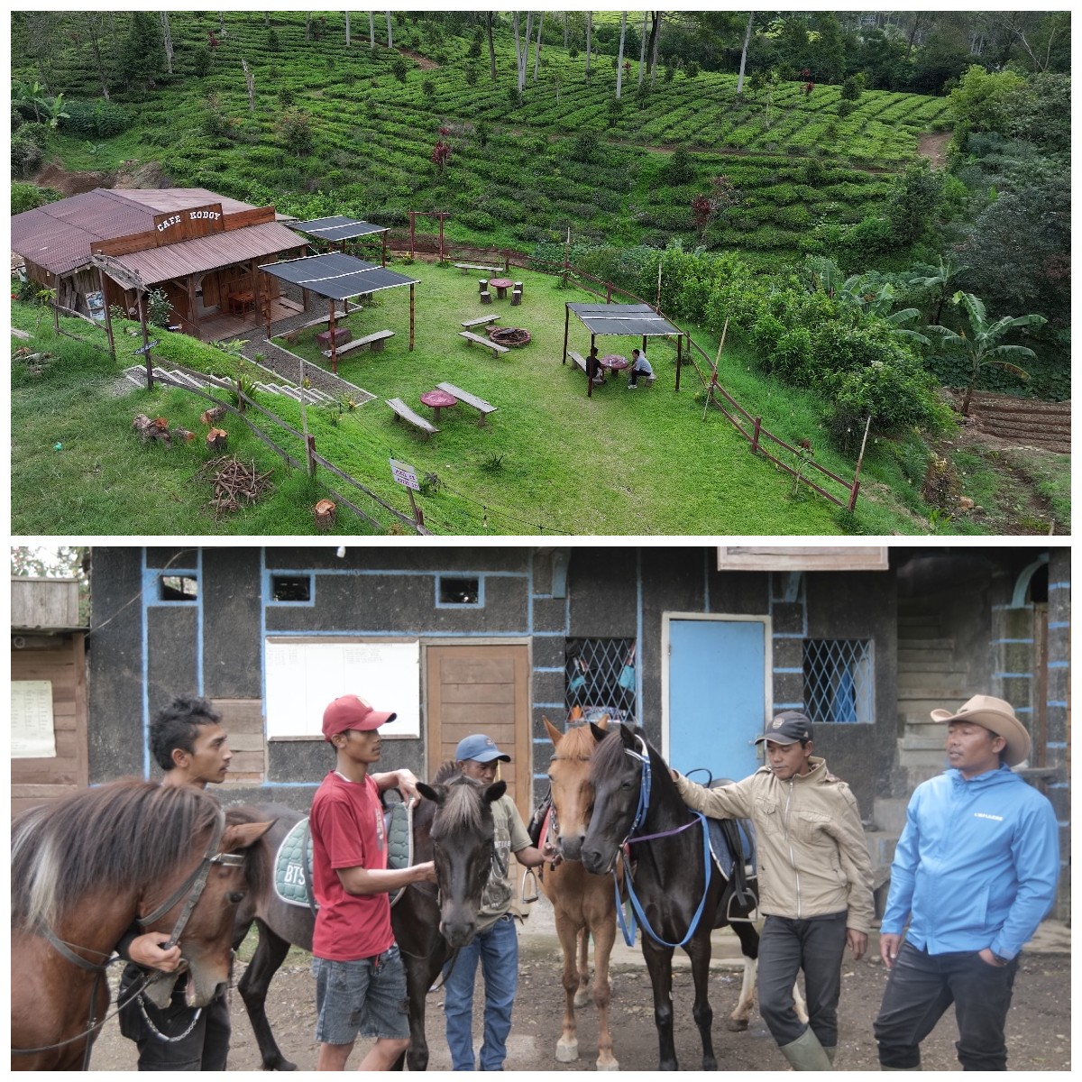 Kampung Koboi Tugu Selatan, Wujud Transformasi Desa Berbasis Potensi Lokal dalam Program Desa BRILiaN