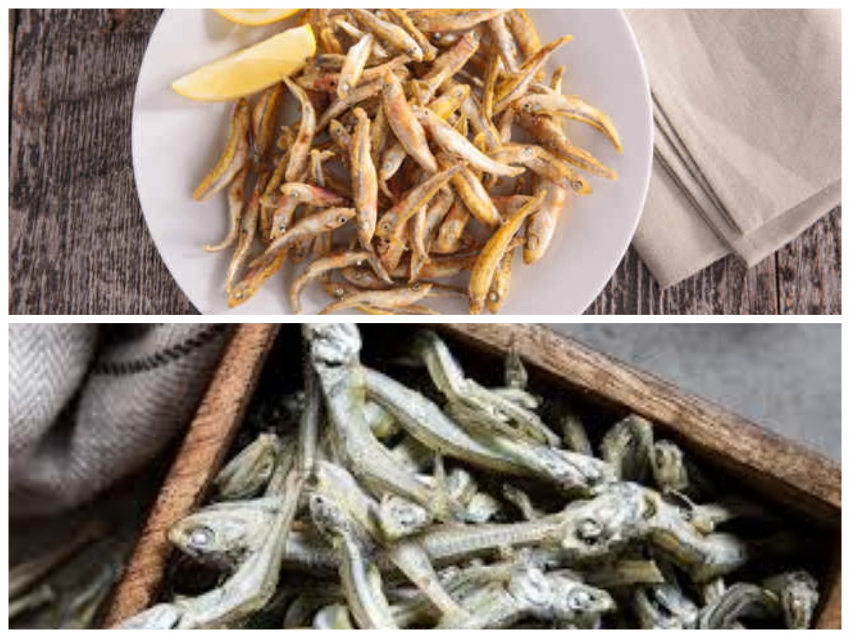 Rahasia Kesehatan dari Ikan Teri: Segudang Manfaat yang Perlu Kamu Tahu