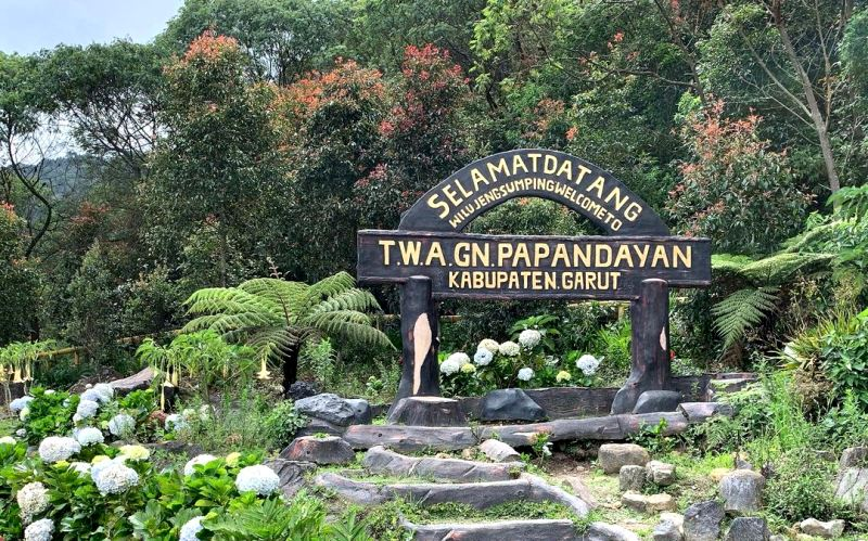 Taman Wisata Alam Gunung Papandayan, Wisata yang Cocok Untuk Keluarga di Garut