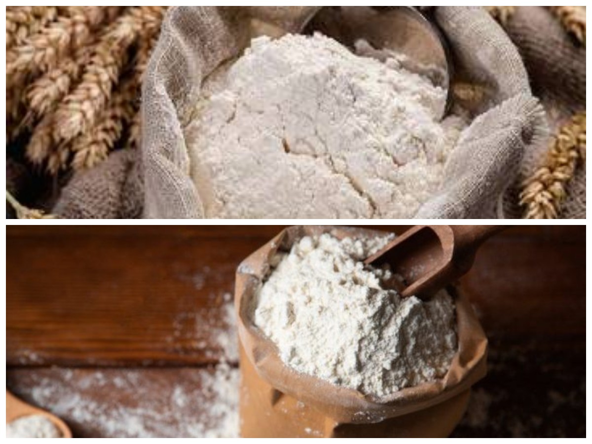 7 Khasiat Sagu yang Menakjubkan bagi Kesehatan Tubuh, Wajib Dicoba!