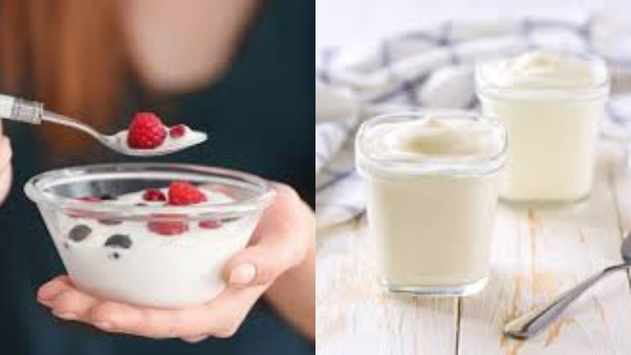 Wajib Kalian Ketahui! Inilah Manfaat Penting Yoghurt bagi Wanita