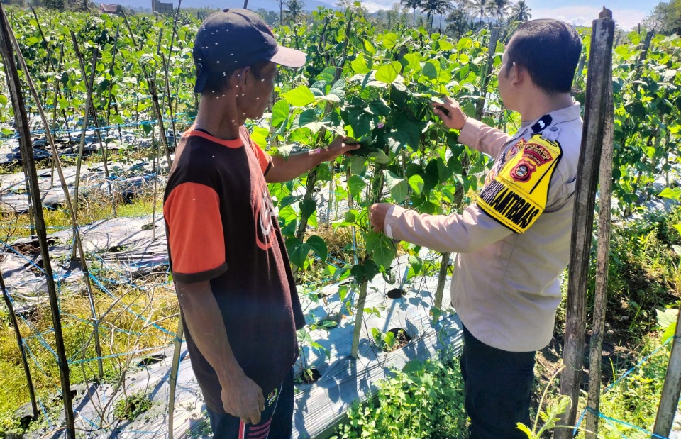 Wujud Nyata Bhabinkamtibmas Dukung Ketahanan Pangan di Pagar Alam