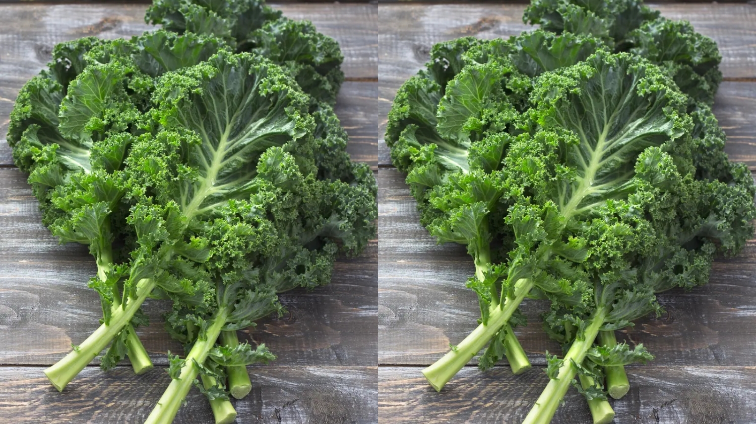 Inilah Kandungan Dan Nutrisi Daun Kale Untuk Kesehatan Yang Jarang Diketahui! 