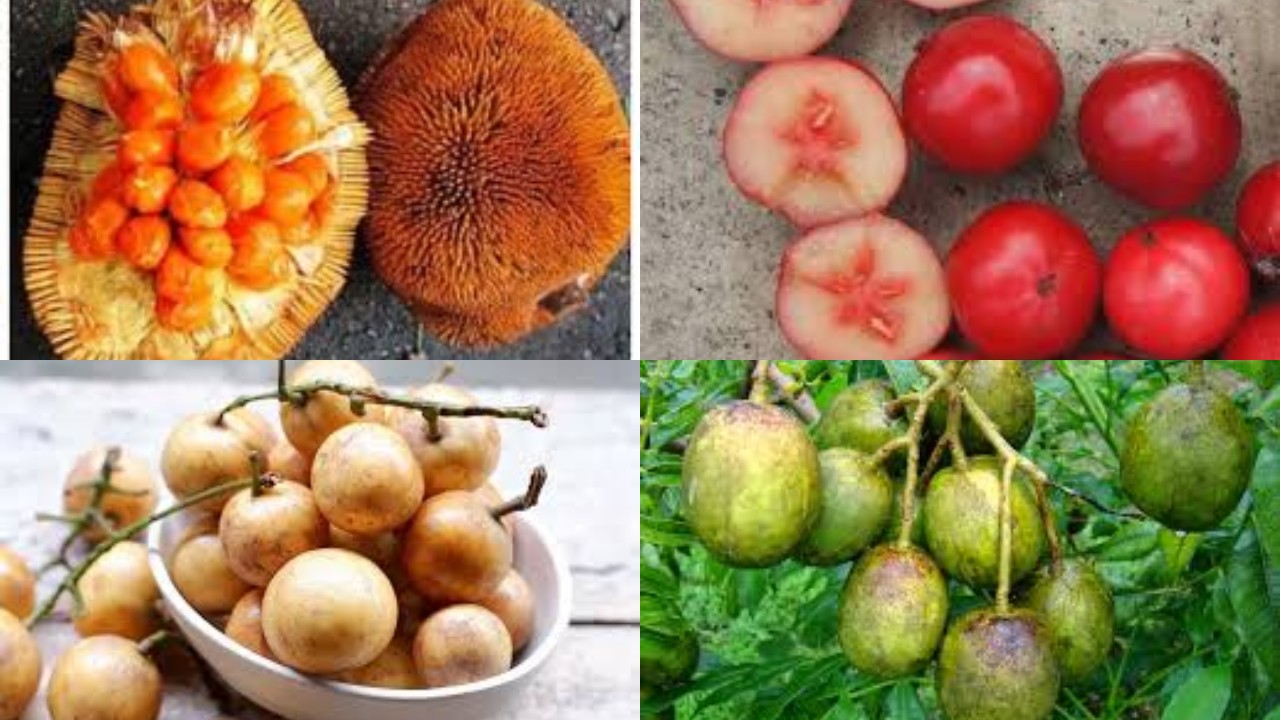 Unik, 10 Buah Asli Indonesia Ini Sulit Ditemukan di Luar Negeri Lho!