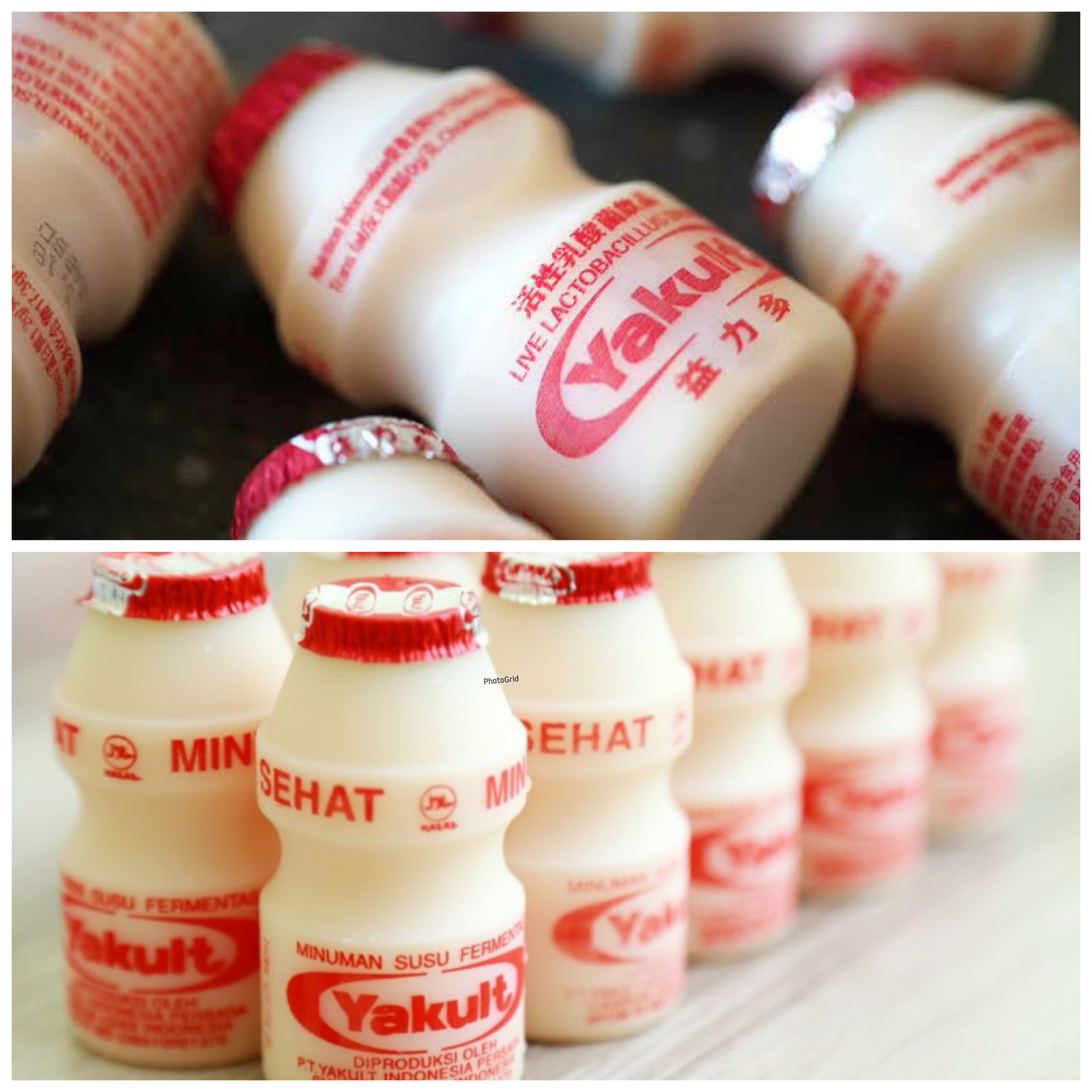 Manfaat Minum Yakult bagi Kesehatan Tubuh, Bantu Jaga Pencernaan hingga Tingkatkan Daya Tahan Tubuh!
