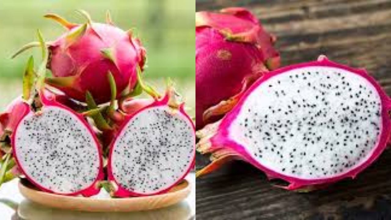 Bukan Sekadar Buah Tropis, Ini 10 Khasiat Buah Naga Putih Untuk Kesehatan