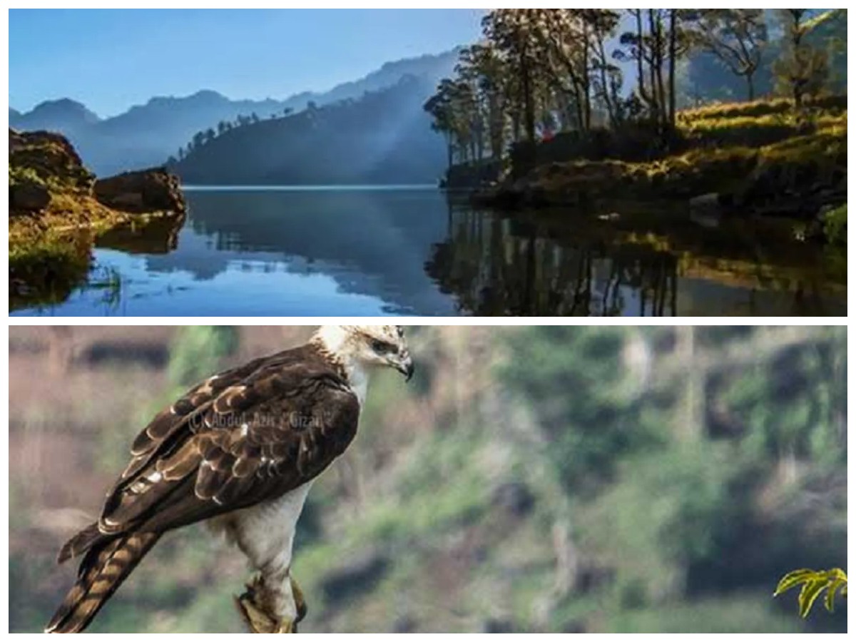 Jarang Diketahui! Ini 4 Hewan Langka Penghuni Gunung Rinjani yang Menakjubkan