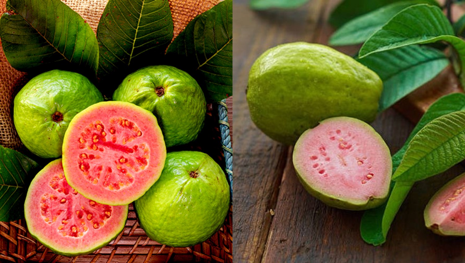 10 Manfaat Menakjubkan Jambu Biji untuk Kesehatan yang Wajib Anda Tahu