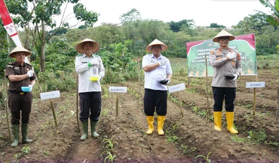 Tanam Jagung Serentak, Pemkot Pagar Alam Dukung Swasembada Pangan
