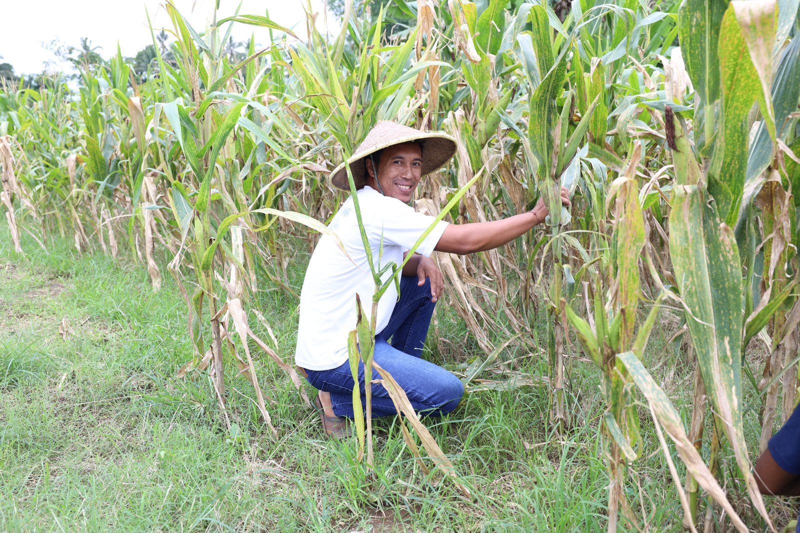 Reforma Agraria Dorong Lahirnya Generasi Petani Muda di Desa Soso, Blitar
