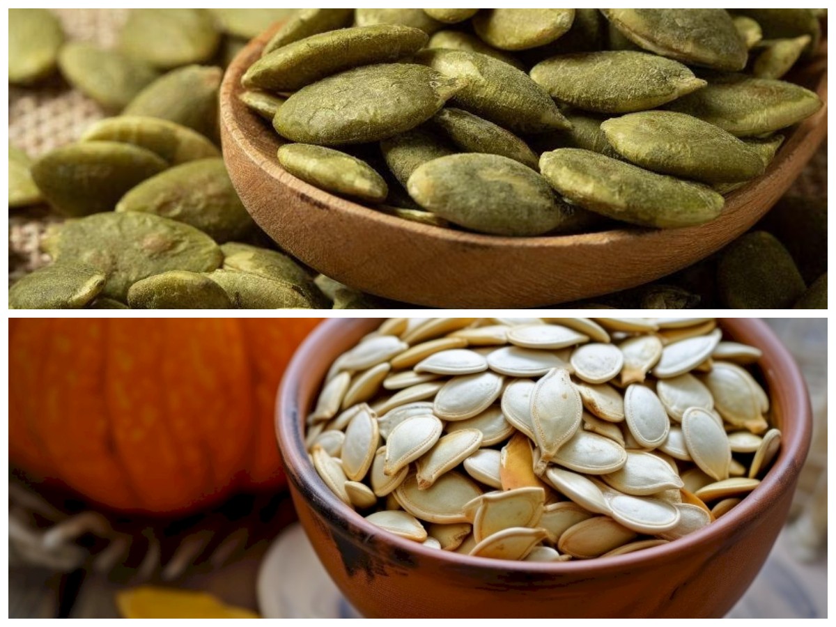 Biji Labu: Sumber Nutrisi Tersembunyi dengan Segudang Manfaat untuk Kesehatan