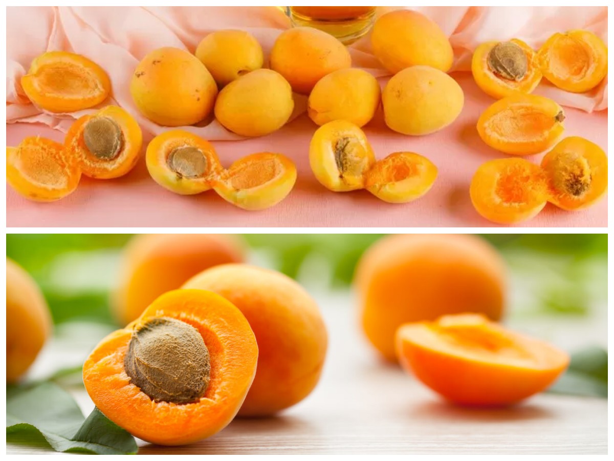 Manfaat Tersembunyi Buah Aprikot: Baik untuk Jantung dan Kesehatan Tubuh Secara Menyeluruh