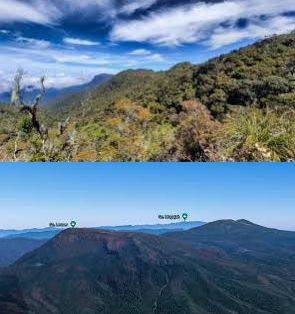 Menggali Sejarah Puncak Tertinggi Gunung Leuser: Surga Alam yang Terancam