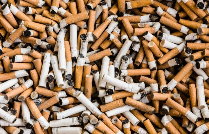 Dua Juta Rokok Ilegal Senilai 3 Miliar Berhasil di Gagalkan Bea Cukai Malang!