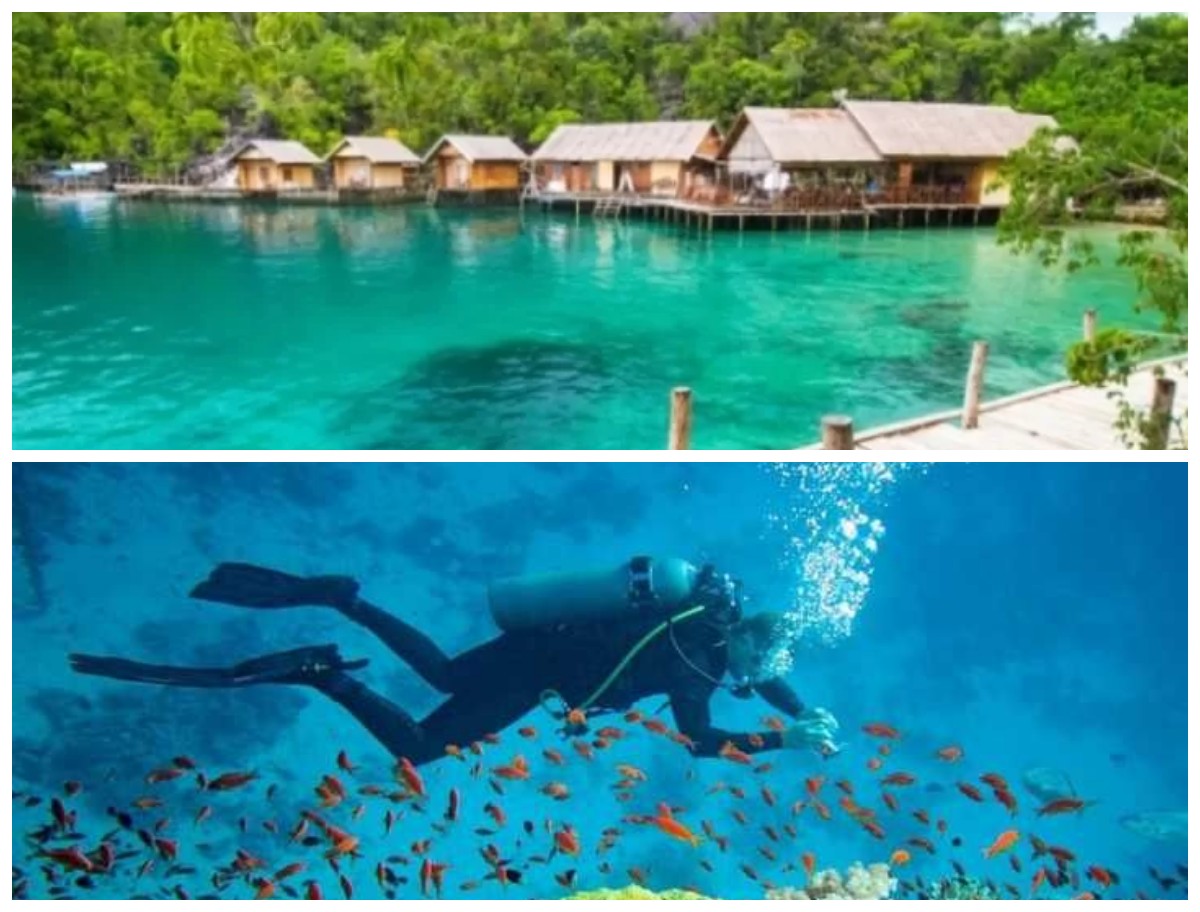 Sejarah Wisata Bawah Laut Basilika: Surga Tersembunyi di Kepulauan Sitaro!