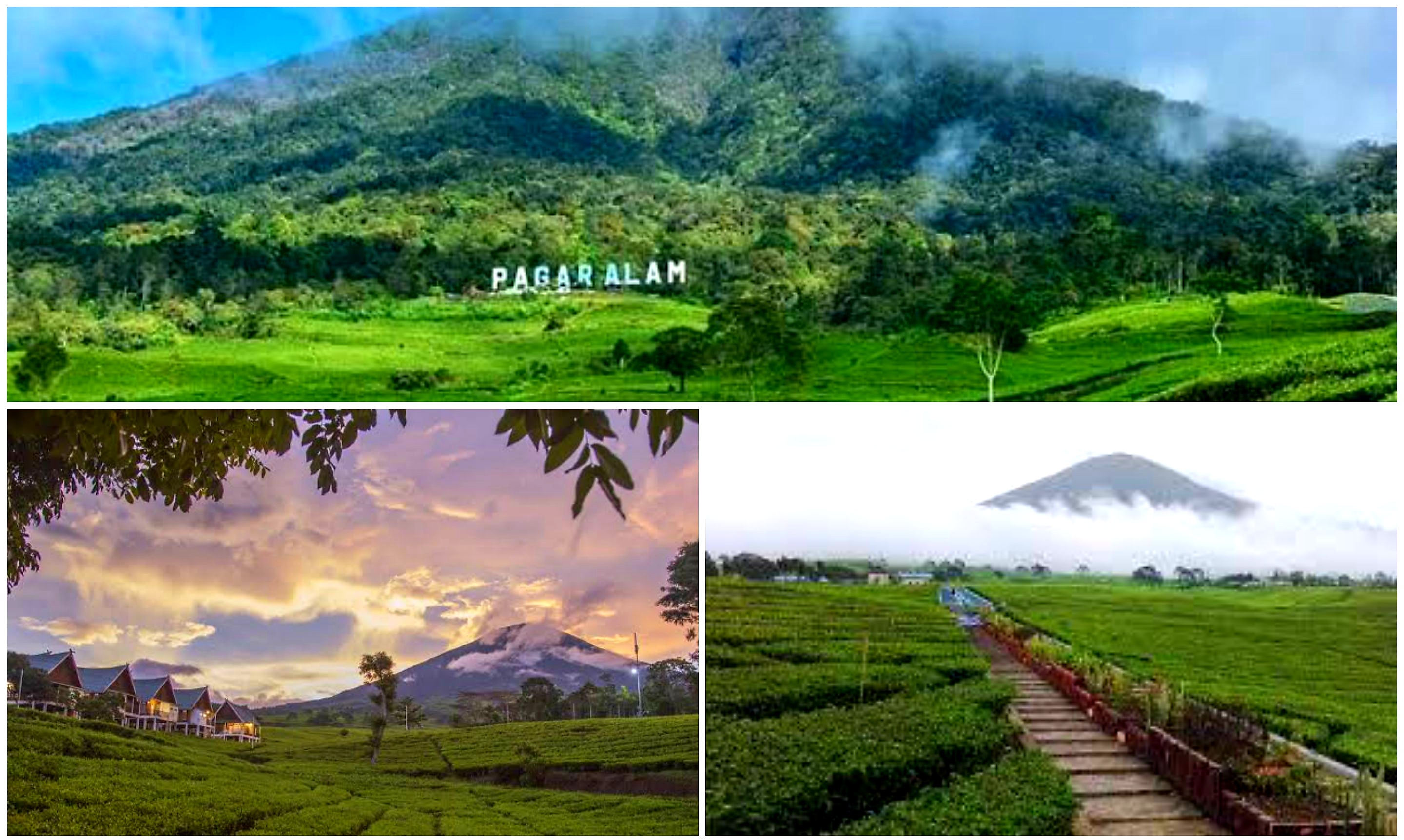 Pesona di Balik Keindahan Gunung Dempo. Wisata Favorit di Pagar Alam