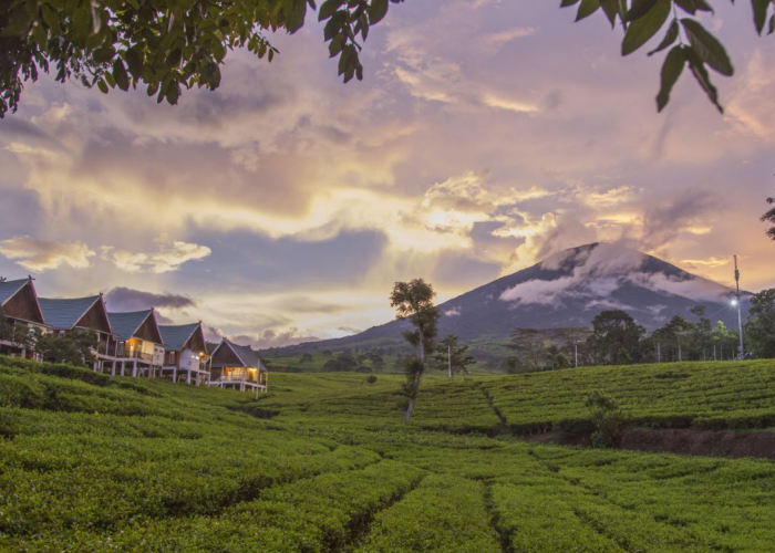 5 Destinasi Wisata yang Memukau di Pagar Alam 