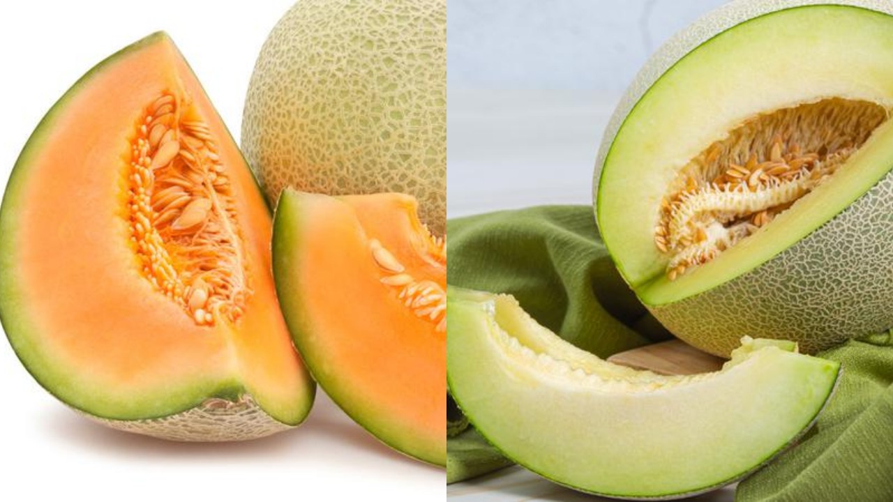 Buah Melon Jika Rutin Dikonsumsi, Kaya Akan Manfaatnya!