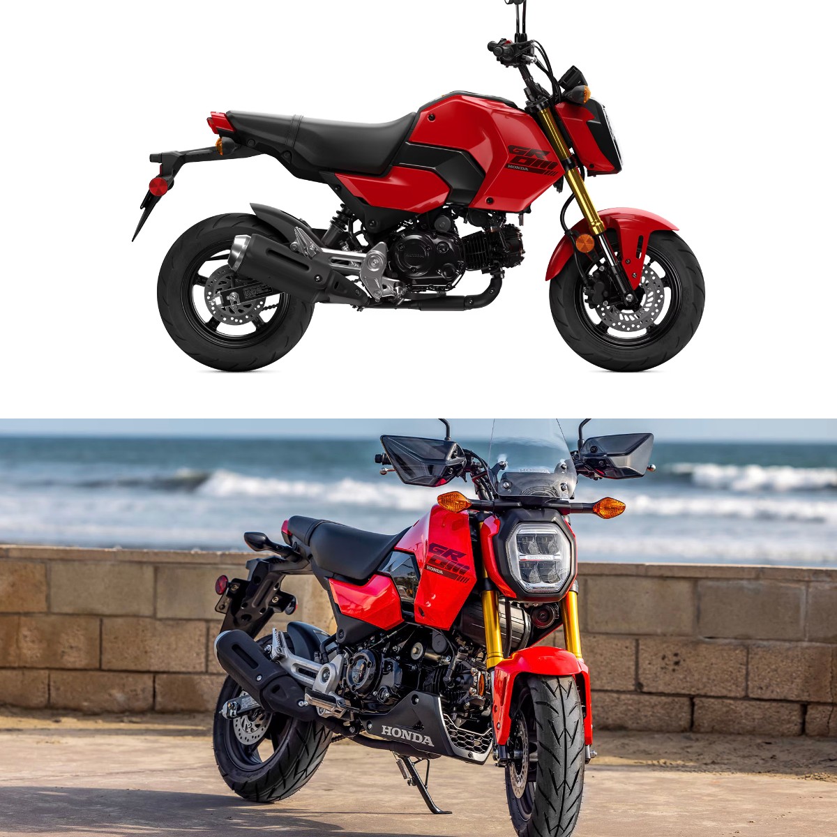 Ini Alasan Honda Grom 2026 Jadi Perbincangan Pecinta Otomotif