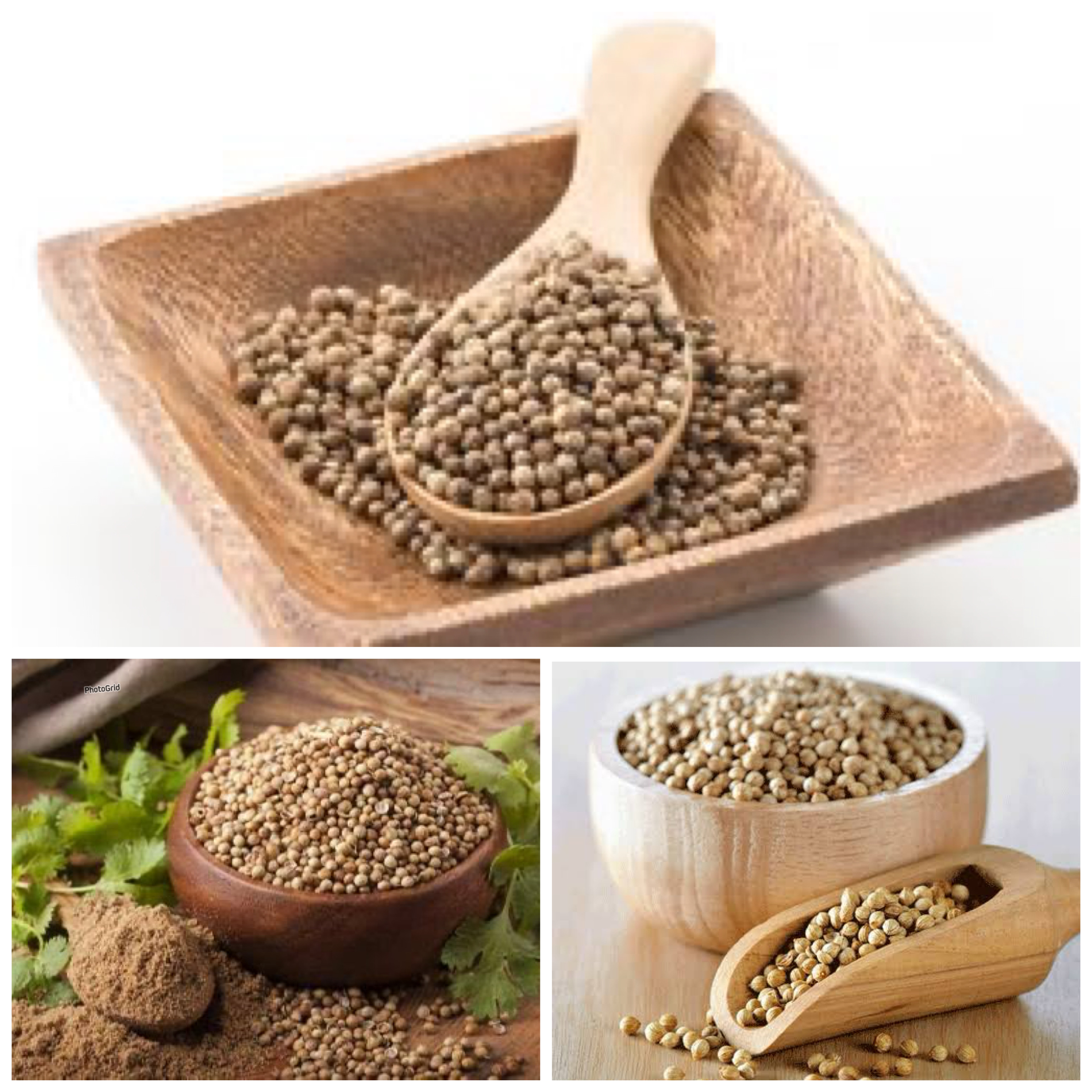 Inilah Rahasia Biji Ketumbar: Rempah Kecil dengan Segudang Manfaat!