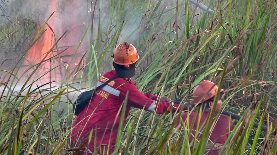 Cegah Karhutla, BPBD Operasi Modifikasi Cuaca di OKI