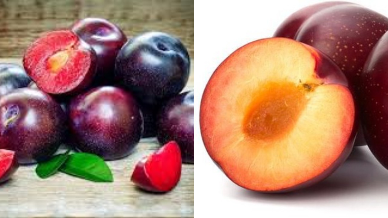 Manfaat Buah Plum yang Jarang Diketahui, Ternyata Sangat Baik untuk Tubuh!