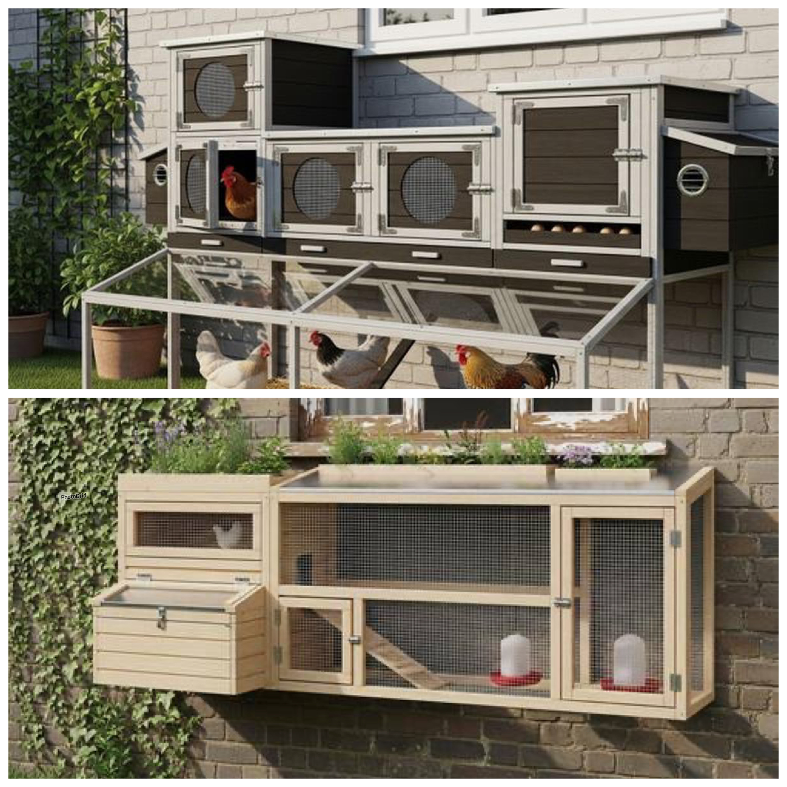 8 Desain Kandang Ayam Tempel Tembok yang Hemat Tempat, Cocok untuk Rumah Lahan Sempit!