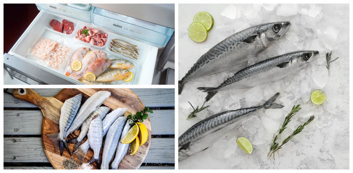 Cara Menyimpan Ikan Segar Tanpa Freezer: Tetap Awet Saat Listrik Padam