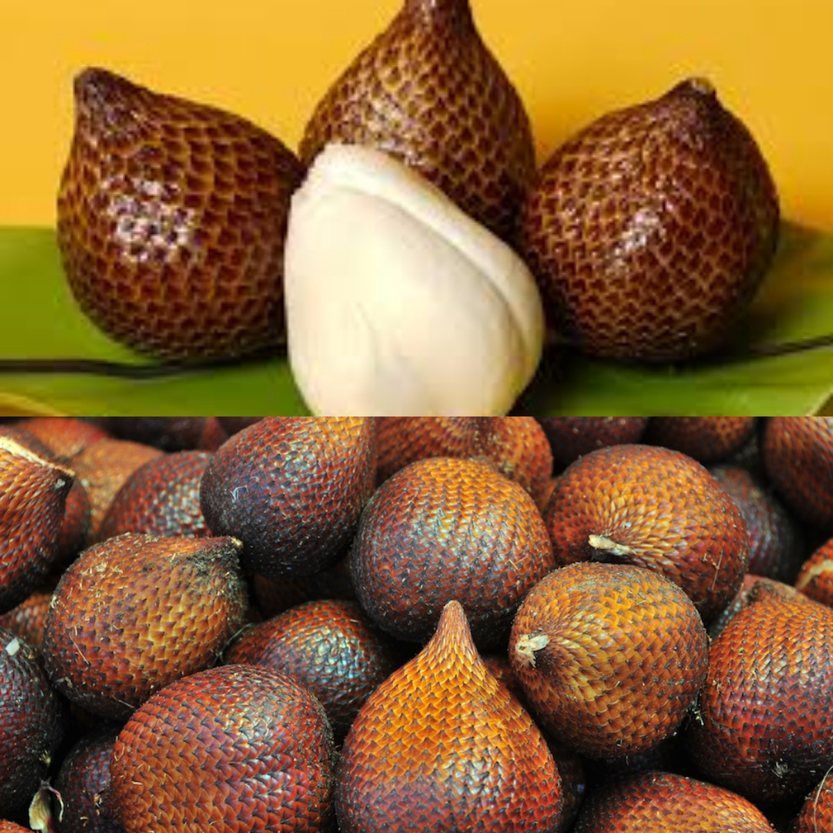 Inilah 7 Kegunaan Buah Salak bagi Kesehatan, Menjaga Kesehatan Jantung dan Mencegah Pikun di Usia Lanjut!