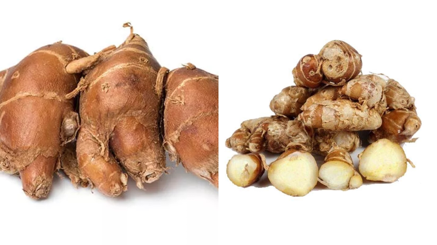 Mengurangi Stres dan Kelelahan Mental Inilah Manfaat Kencur Untuk Kesehatan Yang Harus Kalian Ketahui! 