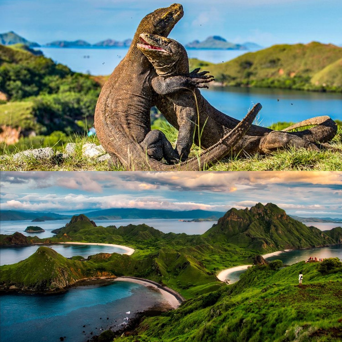 4 Wisata Terbaik di Labuan Bajo! Destinasi Andalan di Indonesia yang Wajib Kamu Kunjungi
