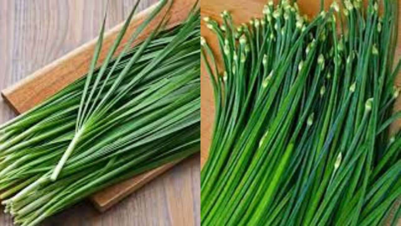 Simak Sekarang! 8 Manfaat Kucai yang Belum Banyak Diketahui