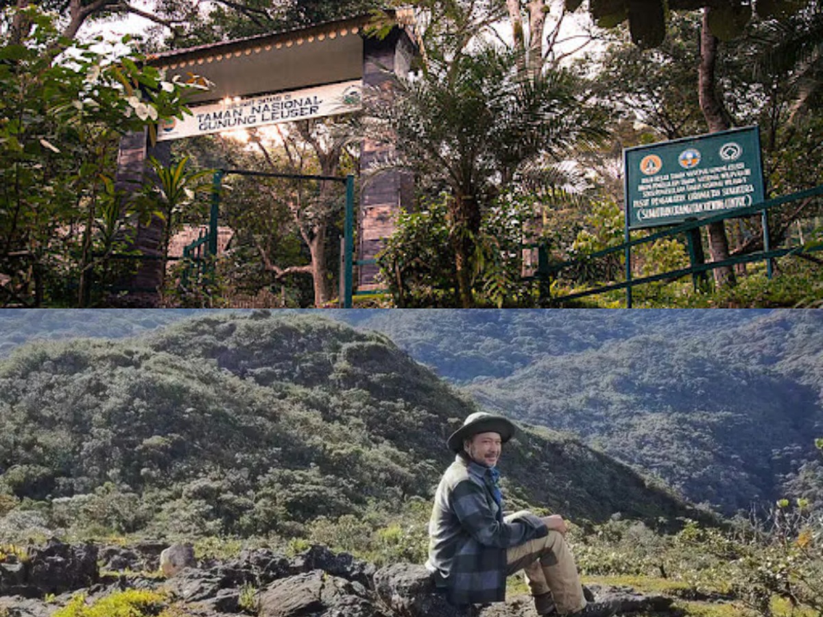 Keajaiban Alam dan Mitos Gunung Leuser: Sebuah Penjelajahan