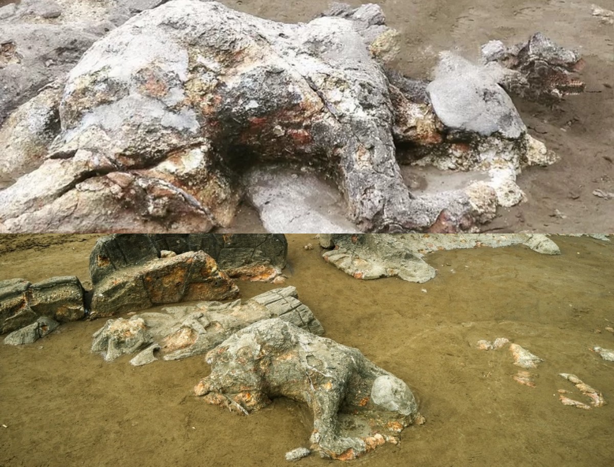 Misteri Batu Malin Kundang: Antara Legenda dan Karya Manusia atau Bukti Kutukan?